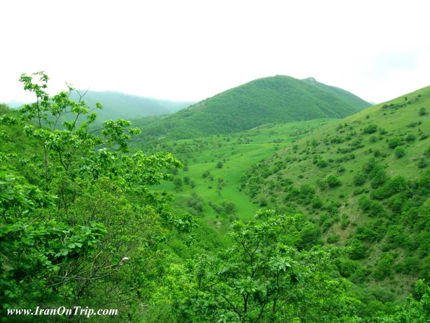 Arasbaran Forests - Forests of Iran