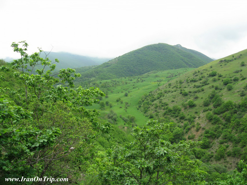 Arasbaran forest in iran-tabriz