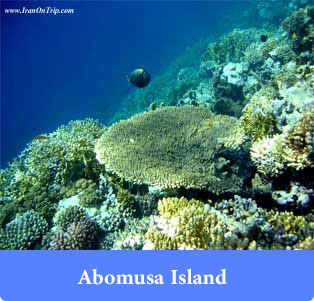Abomusa Island - Islands of Iran