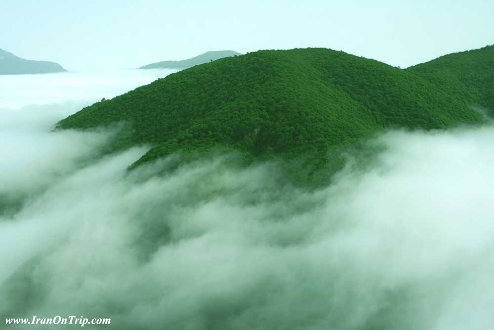 Abr Forests of Shahroud - Cloud Forest in Shahroud Iran - Cloud Forests of Iran