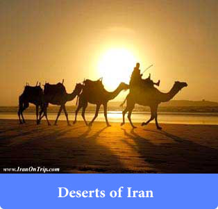 Deserts of Iran - Trip to Iran