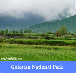 Golestan National Park - Forests of Iran