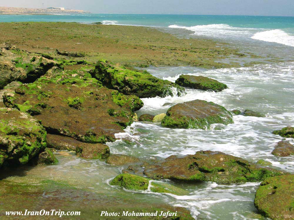 Islands of Qeshm - Islands of Iran